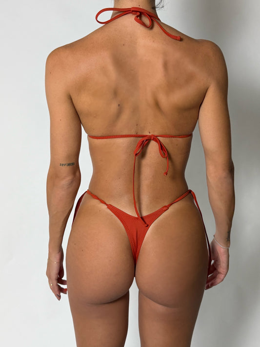 PERIZOMA  PENELOPE  ARAGOSTA
